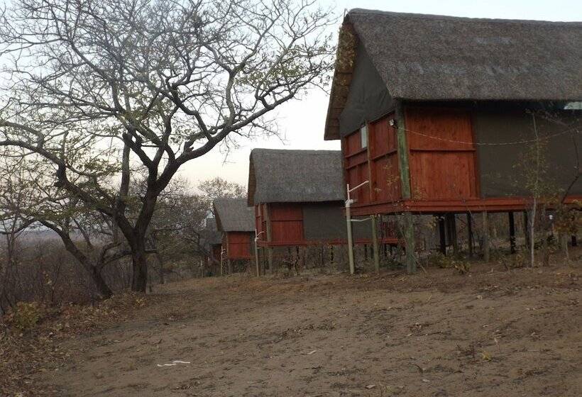 هتل Lion Roars Lodge