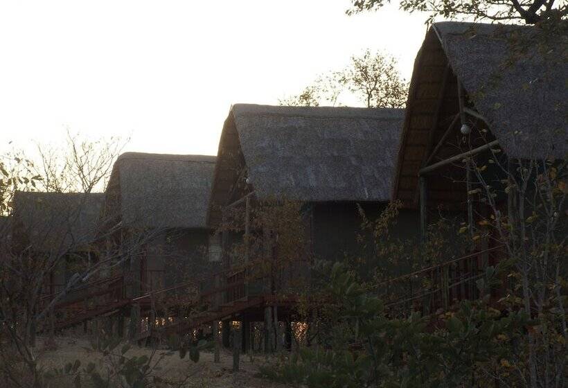 هتل Lion Roars Lodge