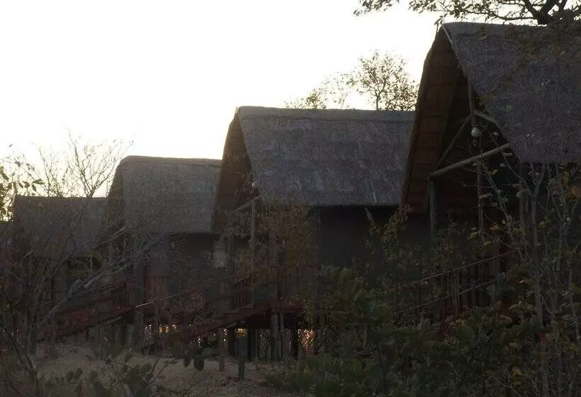 هتل Lion Roars Lodge