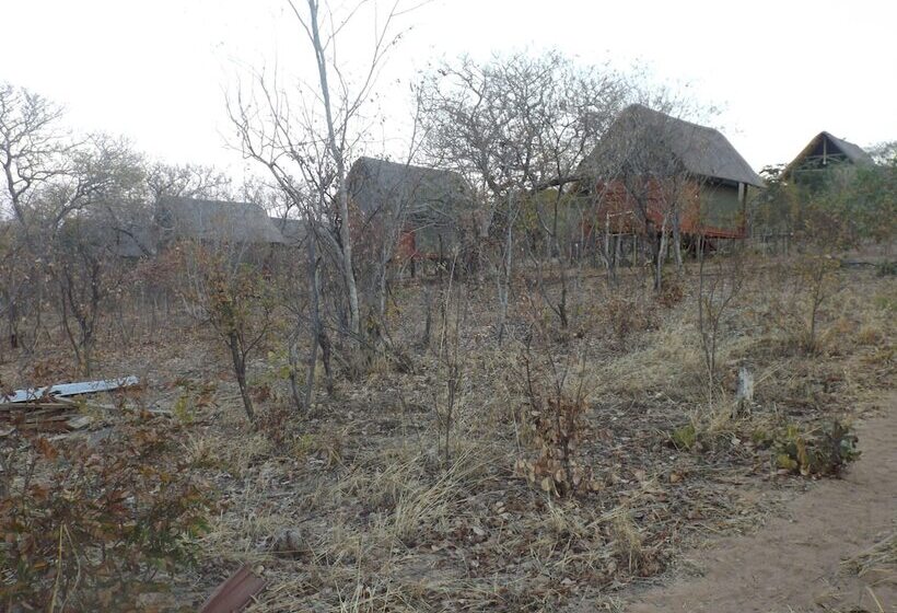 هتل Lion Roars Lodge