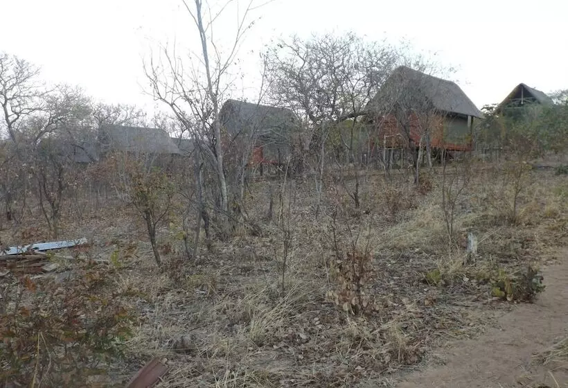 هتل Lion Roars Lodge