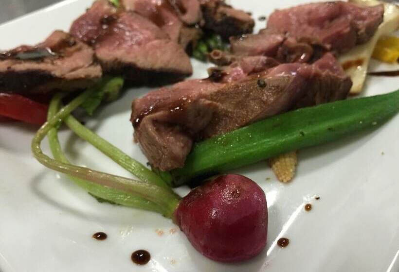 Hotelli Pension Human