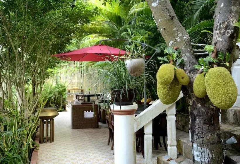 هتل Tropical Hill Kep