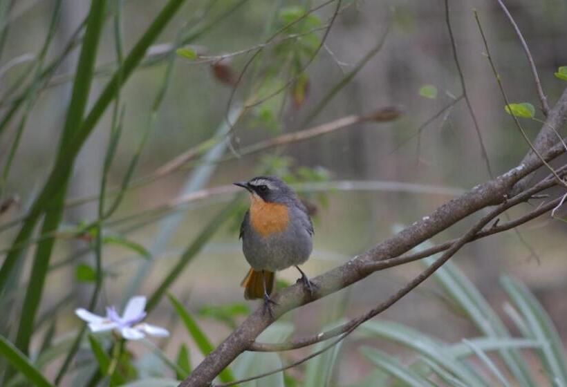 Lydall Wild Tranquil Garden Suites