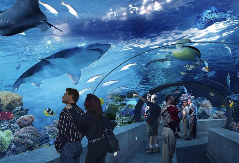 New One Bedroom Condo Downtowncn Tower