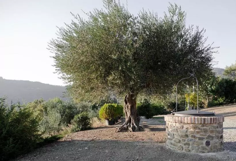 Villa Lavanda