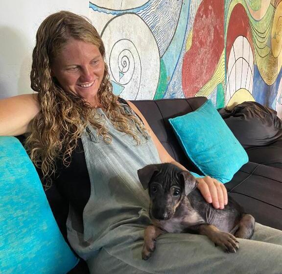 Hospedaria Happy Hammocks, Hiriketiya Beach   Sri Lanka