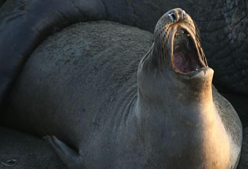 Отель Lucia Lodge