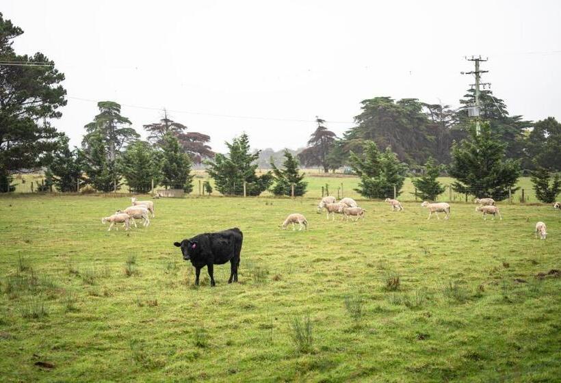 田舎風ホテル Icena Accommodation