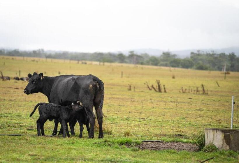 田舎風ホテル Icena Accommodation
