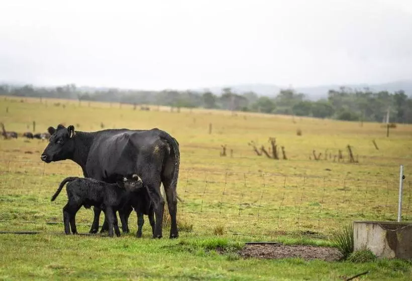 田舎風ホテル Icena Accommodation