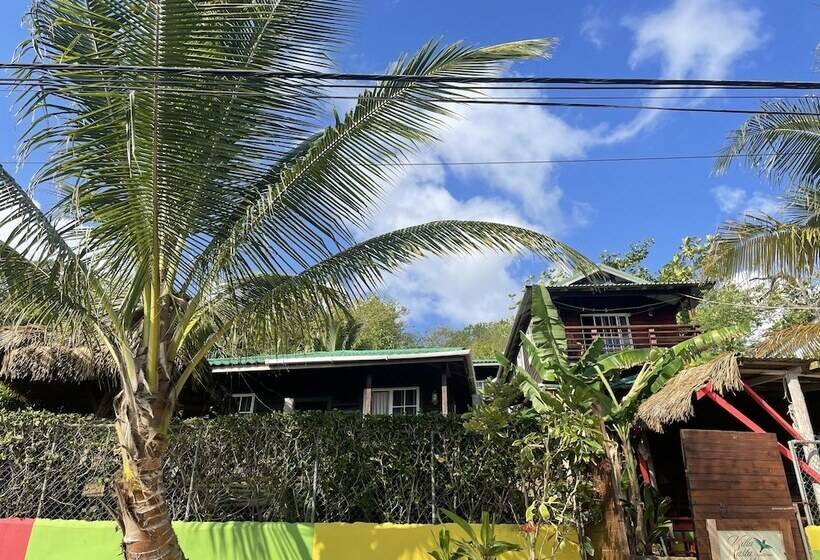 پانسیون Villa Rasta