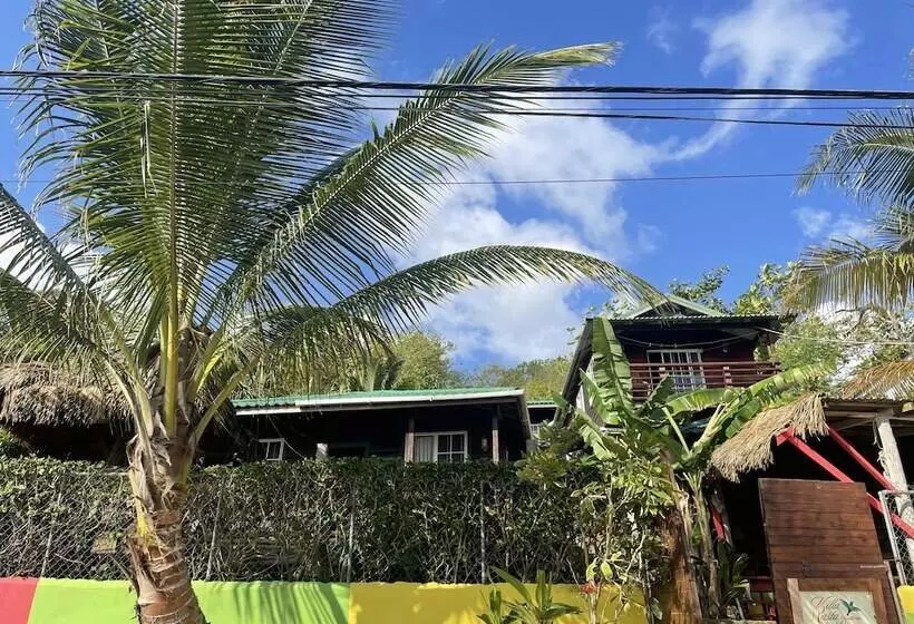 پانسیون Villa Rasta