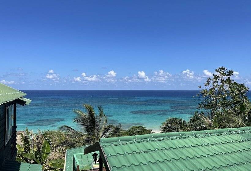 پانسیون Villa Rasta