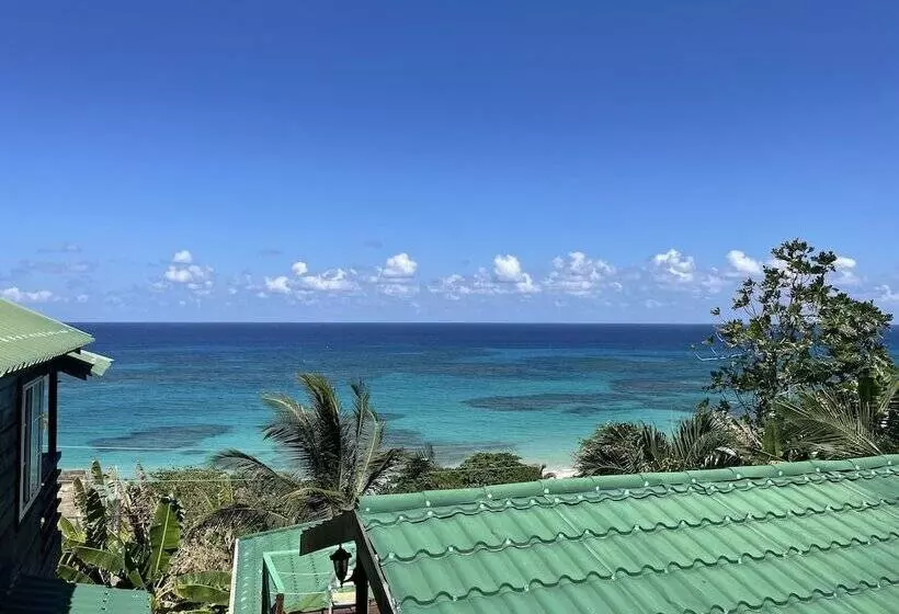 پانسیون Villa Rasta
