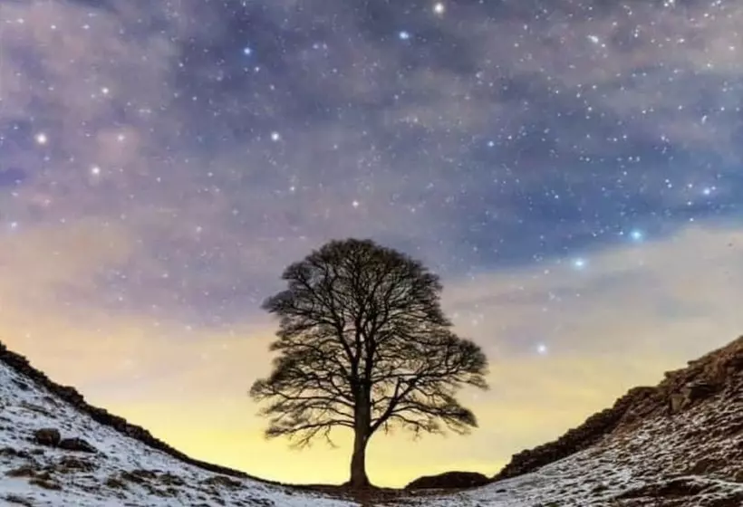 Residenssi Beautiful 3 Bed House In Chester Le Street