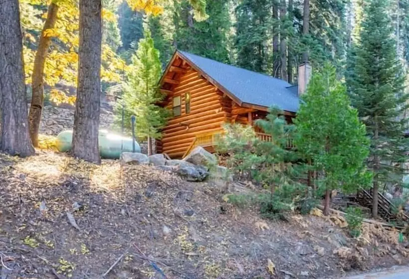 The Log Home Quintessential Log Cabin In Ynp!