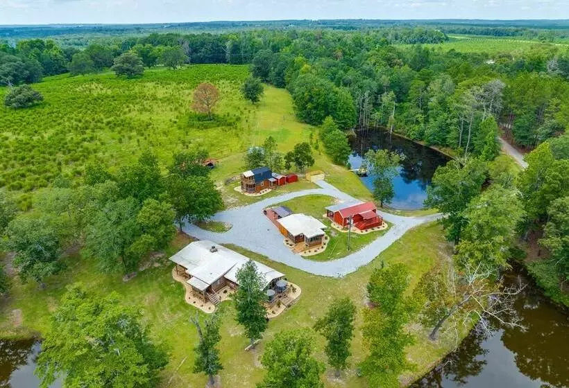 Buena Vista Cabin: Tranquil Haven Near Town Square