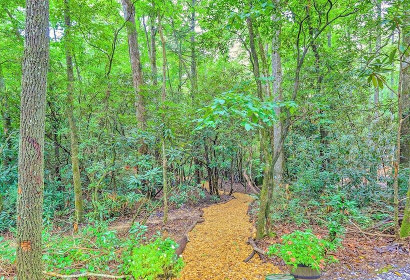 Cozy Creekside Mountain Escape W/ Hot Tub!