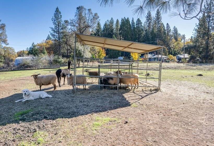 Community Pool & On Site Farm: Placerville Cottage