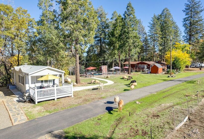 Community Pool & On Site Farm: Placerville Cottage