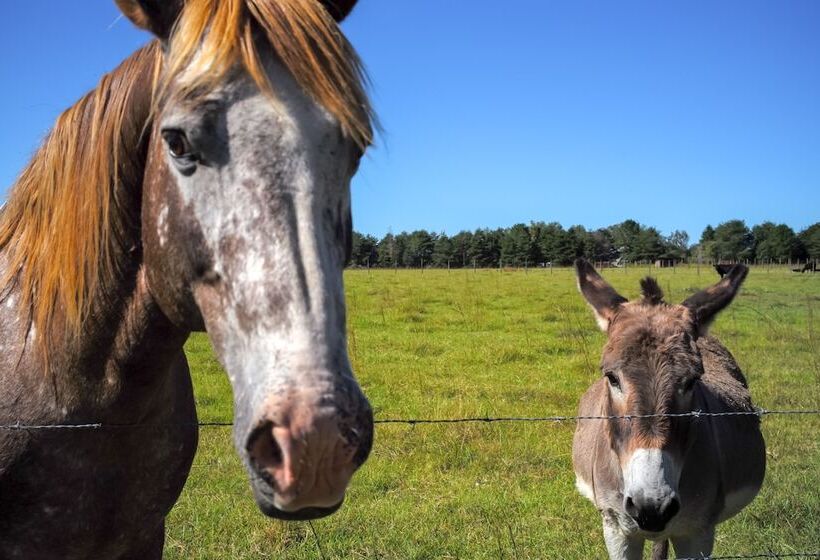Sylvan Cabin On 73 Acres   Pond On Site!