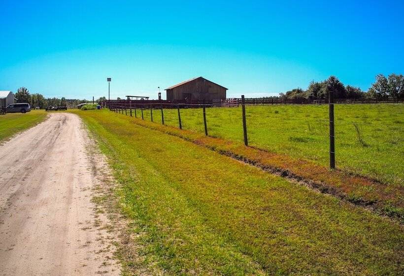 Sylvan Cabin On 73 Acres   Pond On Site!