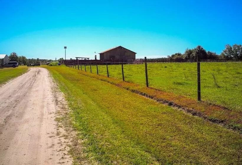 Sylvan Cabin On 73 Acres   Pond On Site!