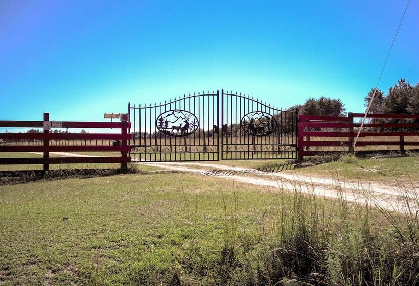 Sylvan Cabin On 73 Acres   Pond On Site!