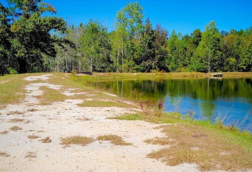 Sylvan Cabin On 73 Acres   Pond On Site!