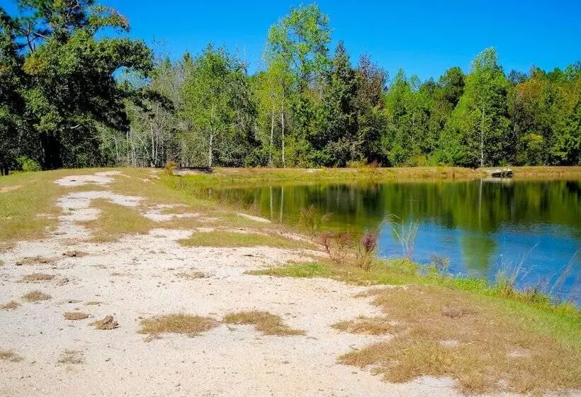 Sylvan Cabin On 73 Acres   Pond On Site!