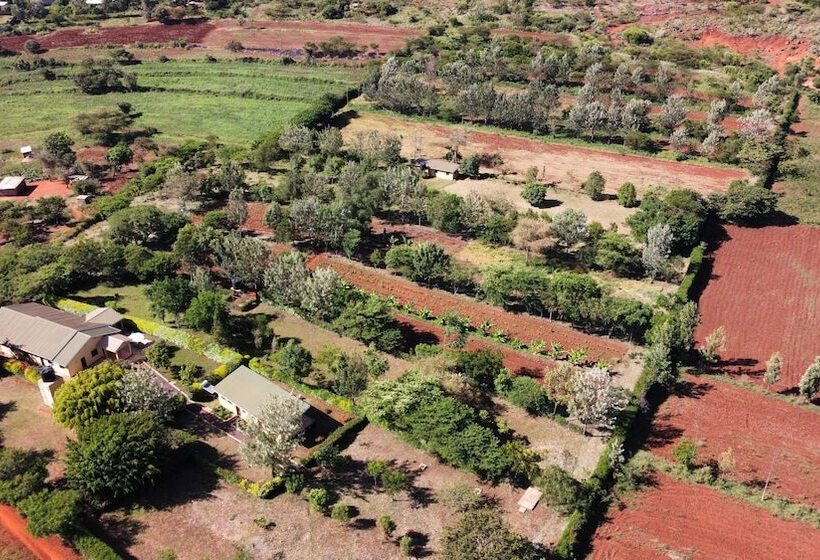 호텔 Tanzanice Farm Lodge