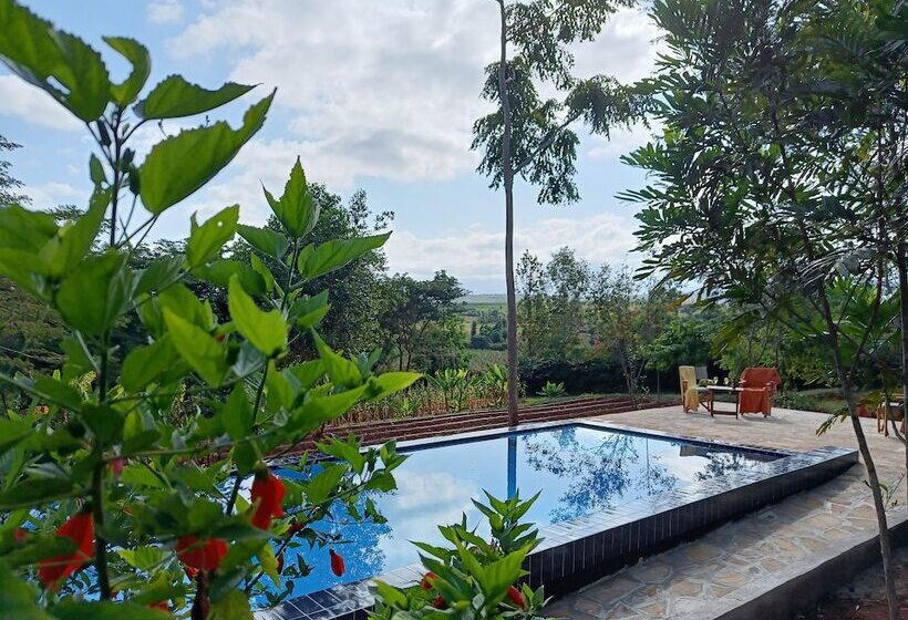 호텔 Tanzanice Farm Lodge