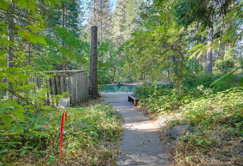 Secluded Cohasset Home W/ Pool & Screened Porch!