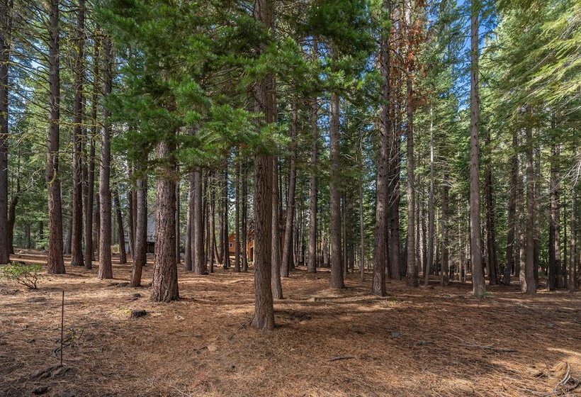 Tahoe Donner Cabin In The Woods By Sierra Getaways