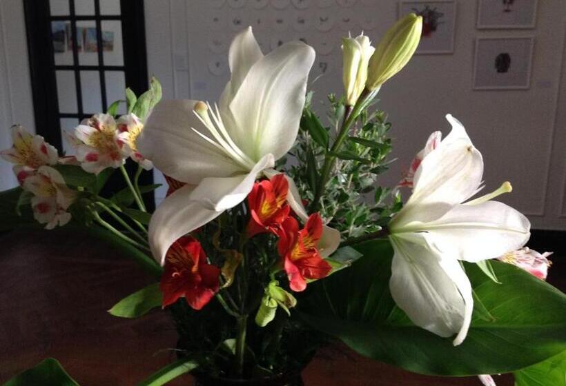 مبيت وإفطار Elena Hotel Boutique