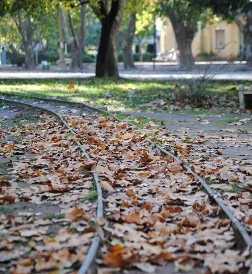 مبيت وإفطار Elena Hotel Boutique