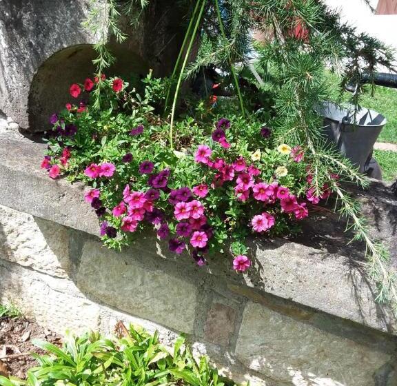 ベッドアンドブレックファースト Le Grivé