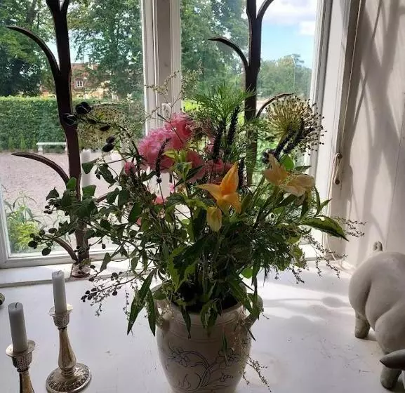 Hoby Gård B&b