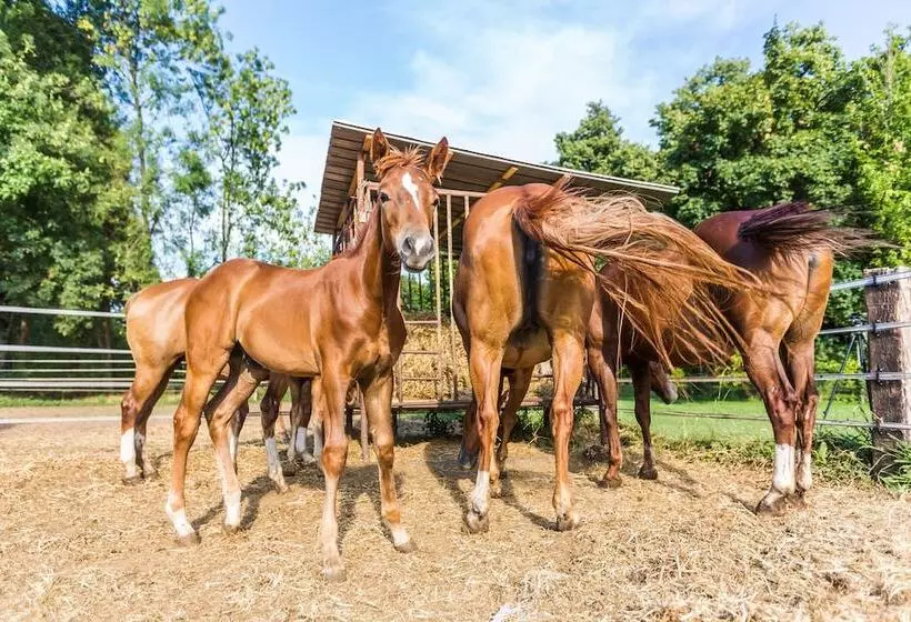 Hostelli Palazzo Barbò