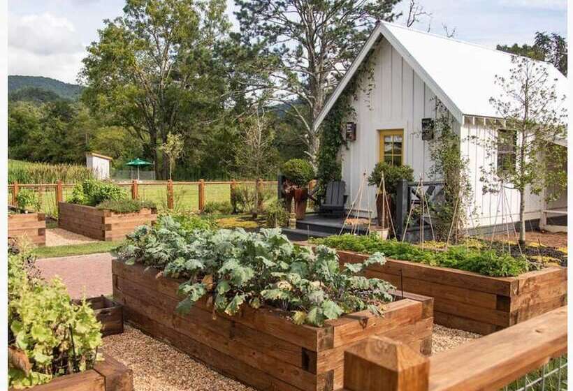 فندق Cottages At Julep Farms