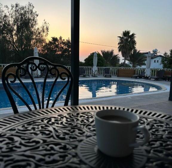 فندق Suya Boutique