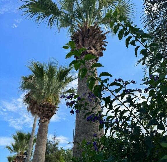 فندق Suya Boutique