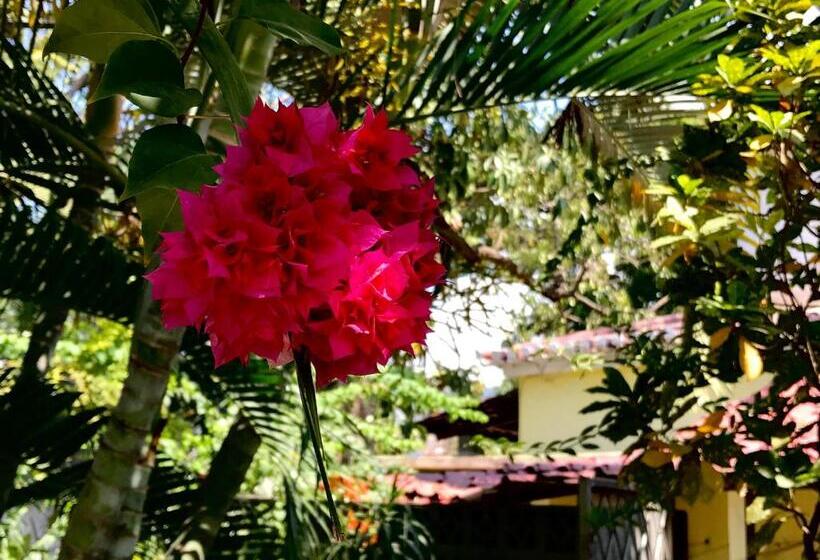 پانسیون Casa Do Sândalo Boutique Guest House