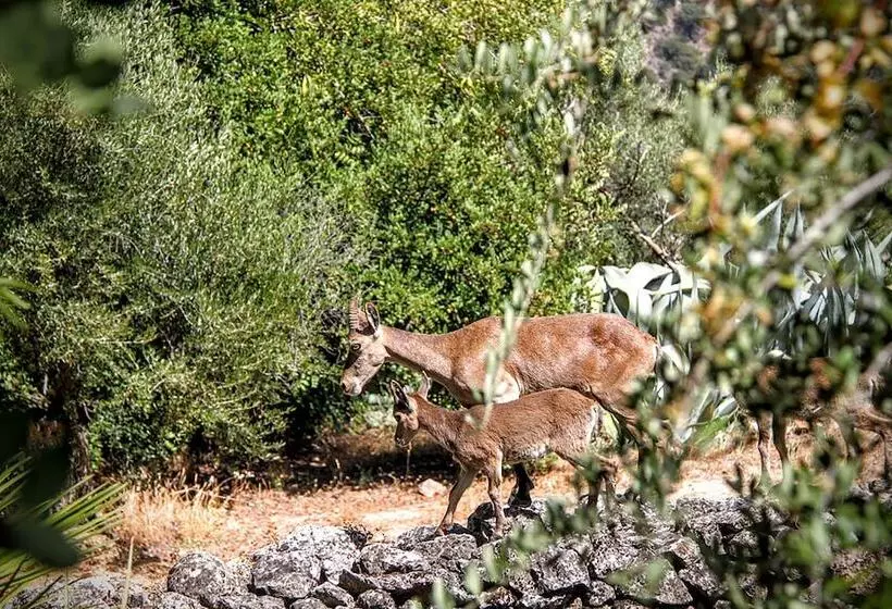Majatalo Casa Rural Los Algarrobales