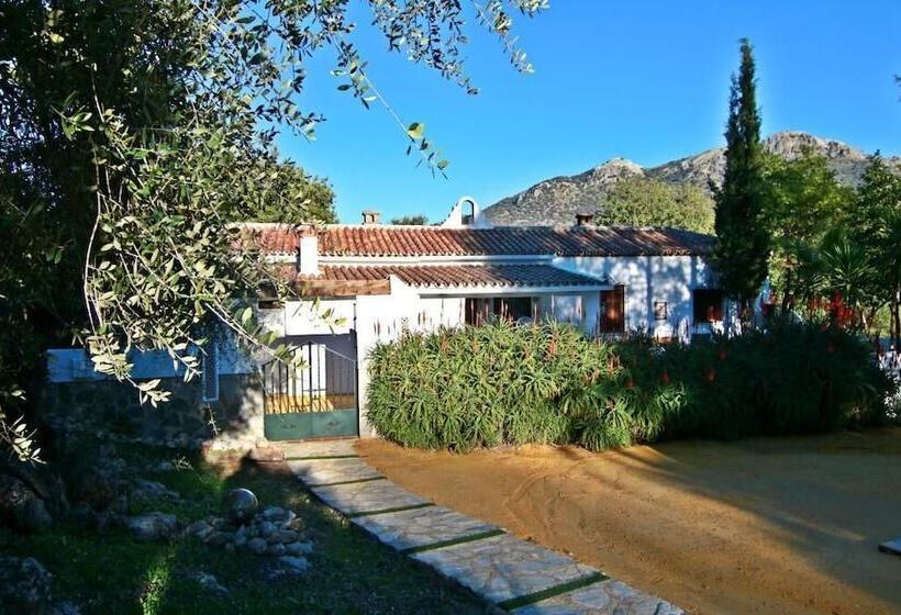 펜션 Casa Rural Los Algarrobales