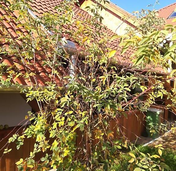 פנסיון Vár Liget Vendégház