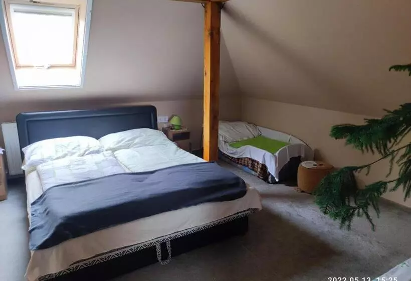 Majatalo Vár Liget Vendégház