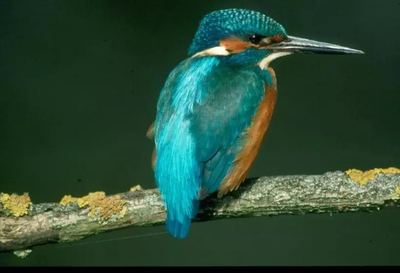 Majatalo Zentrum Für Umwelt Und Kultur   Gästehaus Und Jugendbildungseinrichtung Im Maierhof