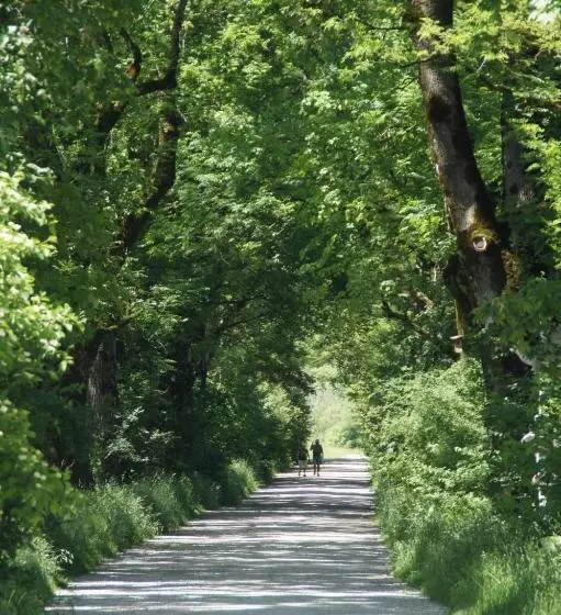Majatalo Zentrum Für Umwelt Und Kultur   Gästehaus Und Jugendbildungseinrichtung Im Maierhof